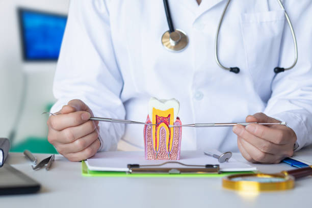 Best Urgent Care for Lost Fillings or Crowns in Shelby, OH